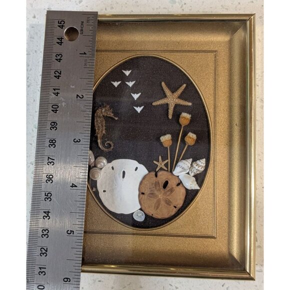 Sand Dollar Nautical Shell Art Betty Shepard Shadow Box Frame Seahorse & Starfis - Picture 4 of 11